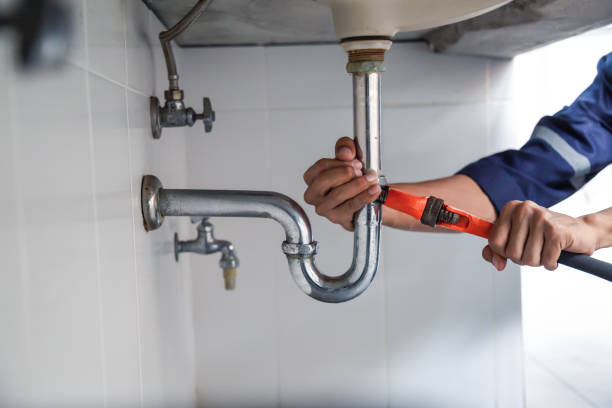 Best Local Plumber Services  in Colwyn, PA